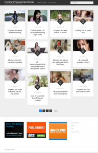Adult WordPress Tube Site Example